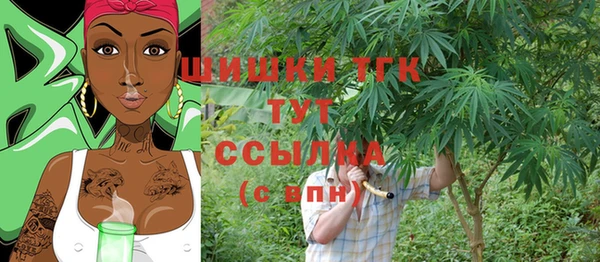 хмурый Михайловск