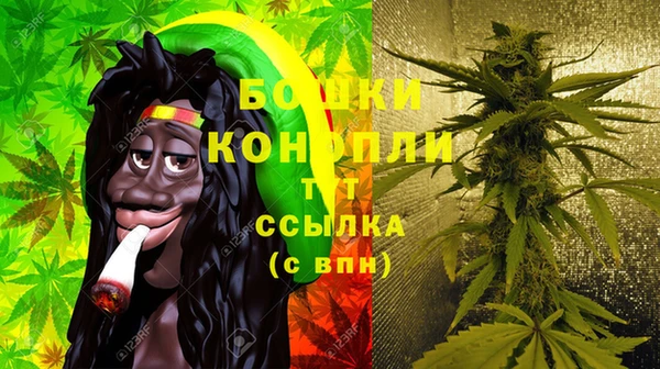 хмурый Михайловск
