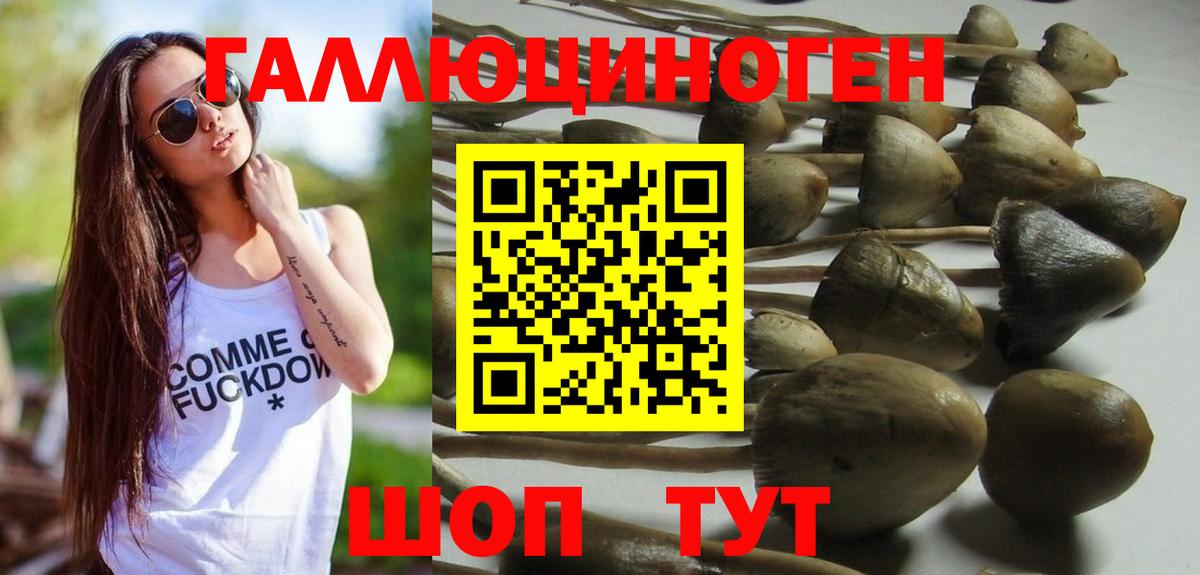 Омск  Галлюциногенные грибы GOLDEN TEACHER  Галлюциногенные грибы Psilocybine cubensis  Вход с VPN 