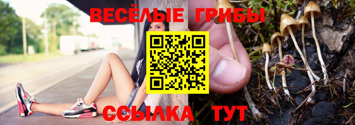 Псилоцибиновые грибы прущие грибы Омск